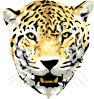 Jaguar Clip Art