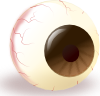 Ecuabron Brown Eye Clip Art