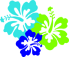 Hibiscus Trio Clip Art